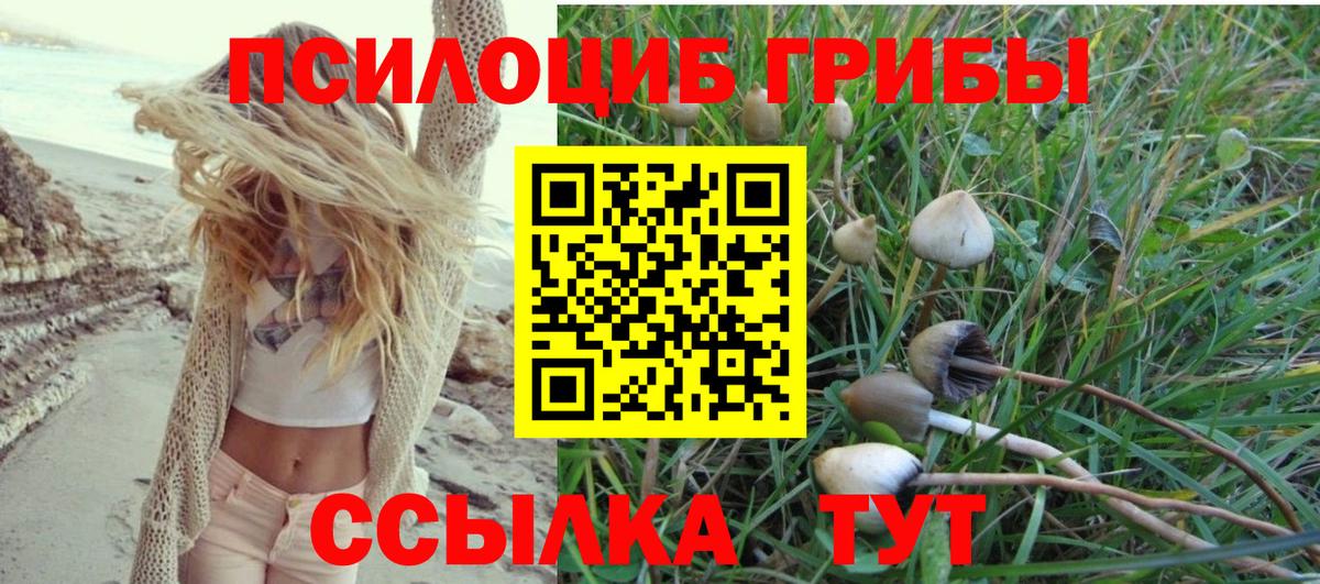 Псилоцибиновые грибы мухоморы Киров
