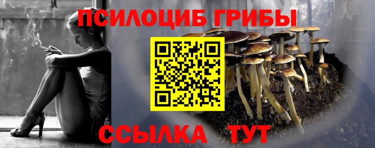 Галлюциногенные грибы GOLDEN TEACHER  Вход с VPN  Киров  Галлюциногенные грибы мицелий 
